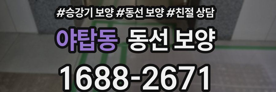 야탑동 동선 보양