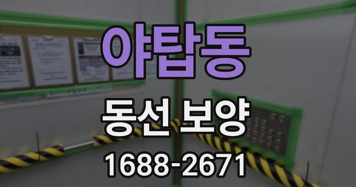 야탑동 동선 보양