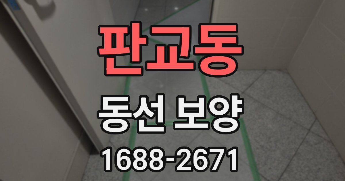 판교동 동선 보양