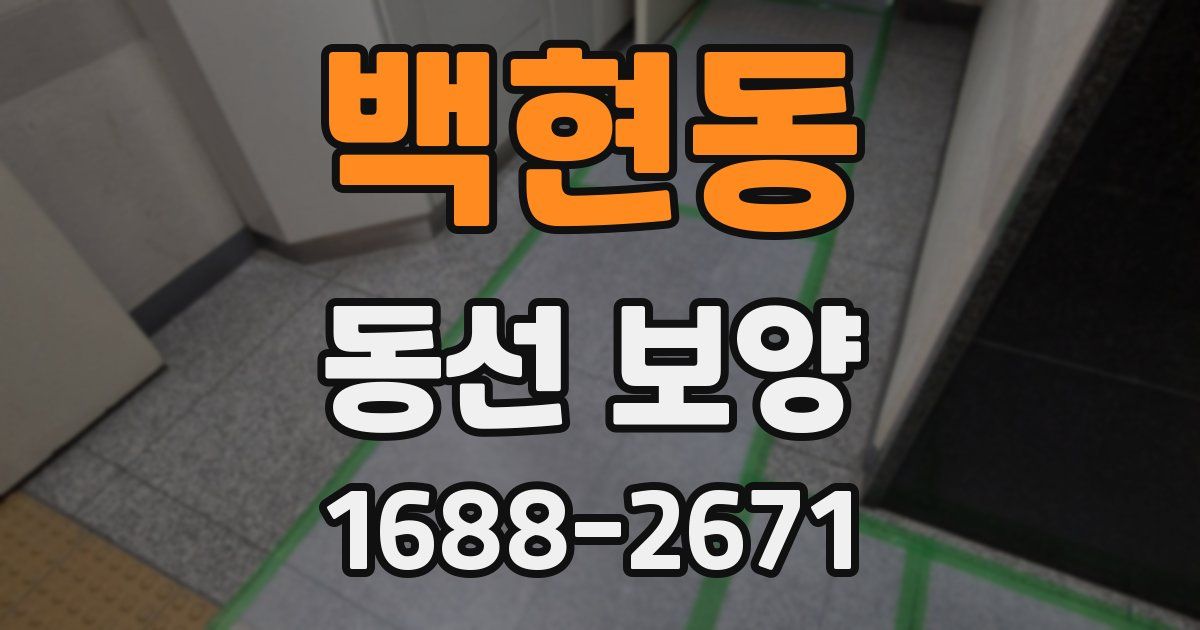 백현동 동선 보양