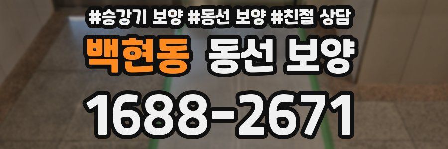 백현동 동선 보양