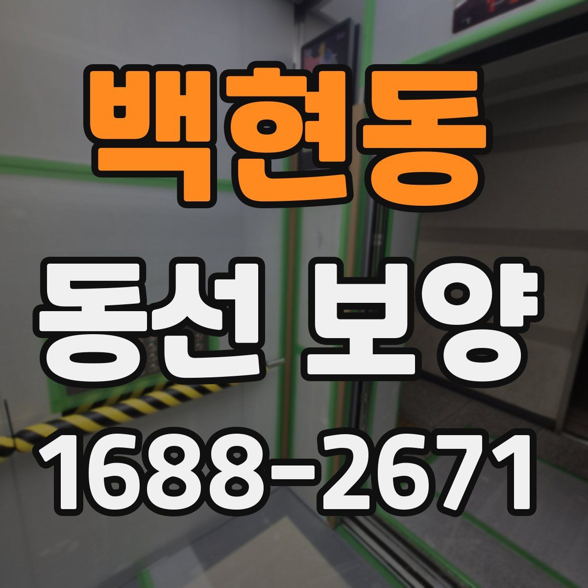 백현동 동선 보양