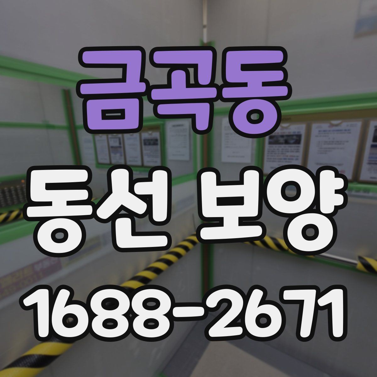 금곡동 동선 보양 시공을 계획할 때 알아둘 점