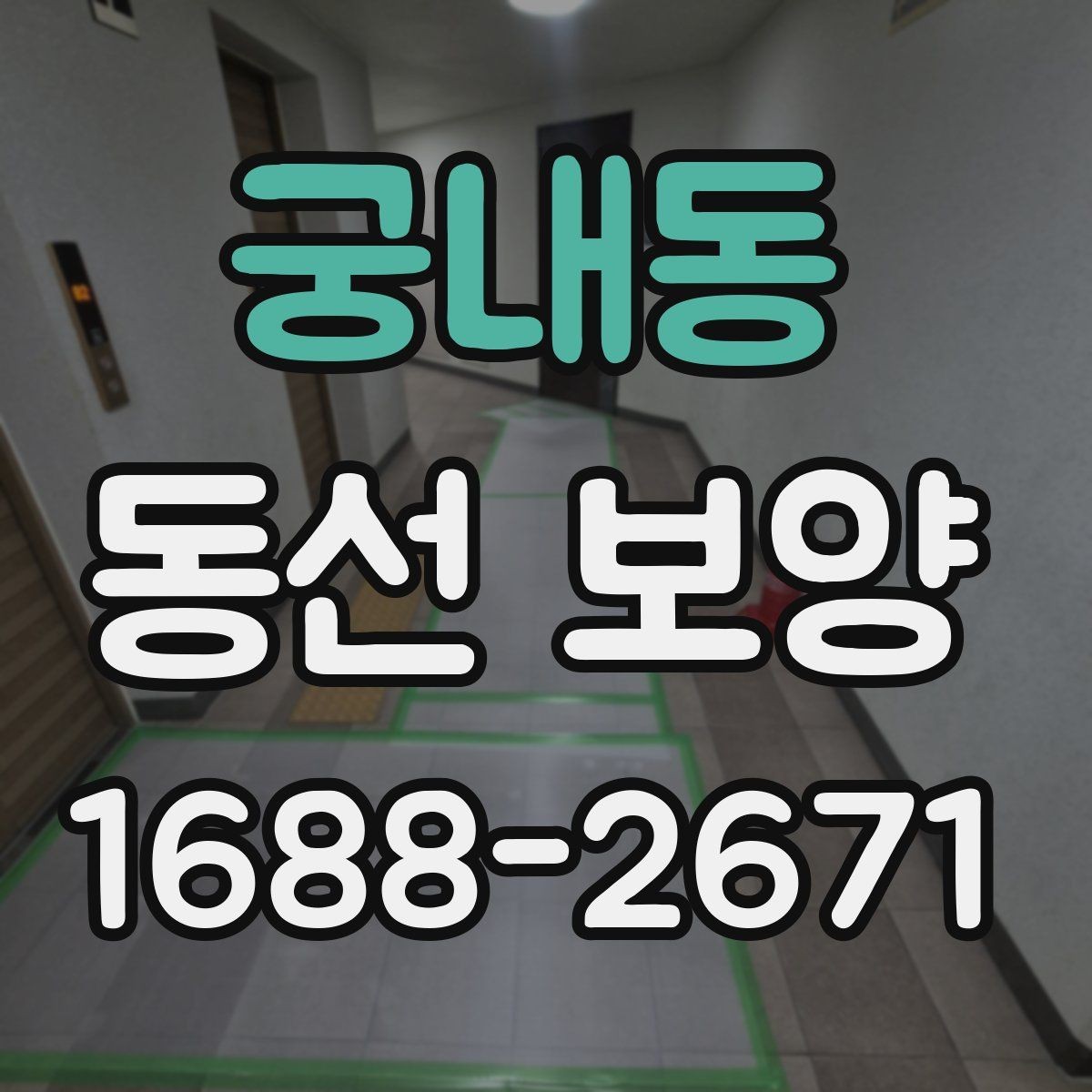 궁내동 동선 보양 대상 구간을 정하는 기준