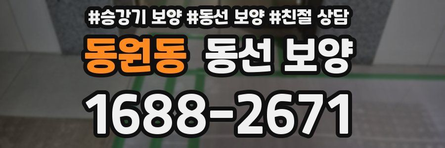 동원동 동선 보양