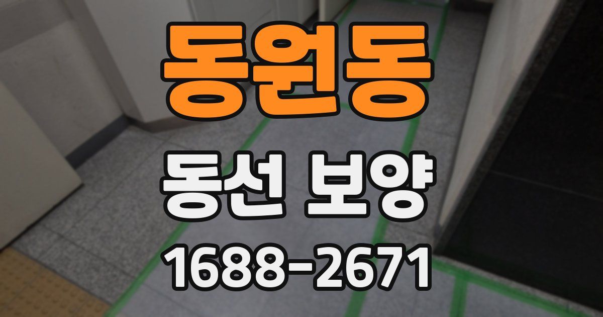 동원동 동선 보양