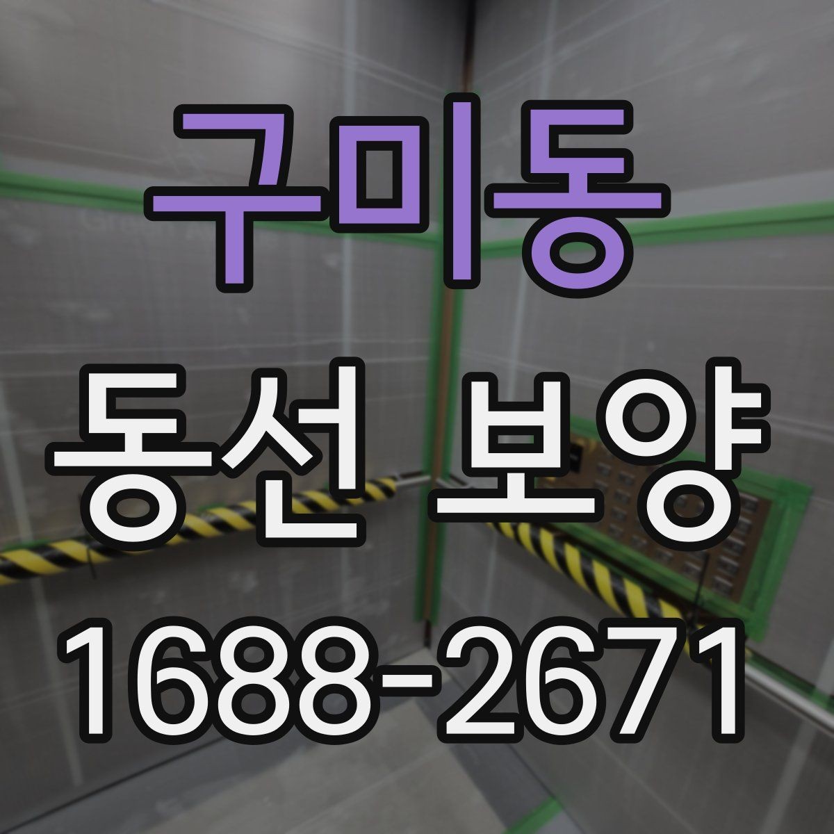 구미동 동선 보양 비용과 품질의 균형 잡기