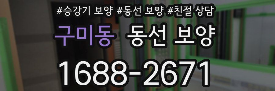구미동 동선 보양