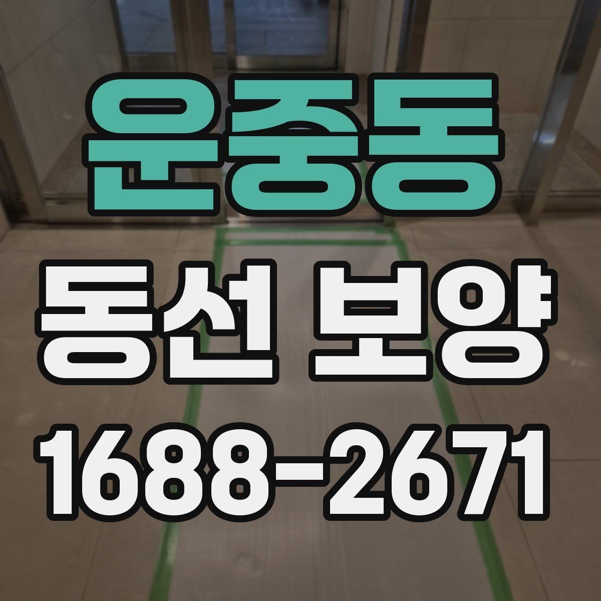 운중동 동선 보양 후 유지 관리를 고려한 선택