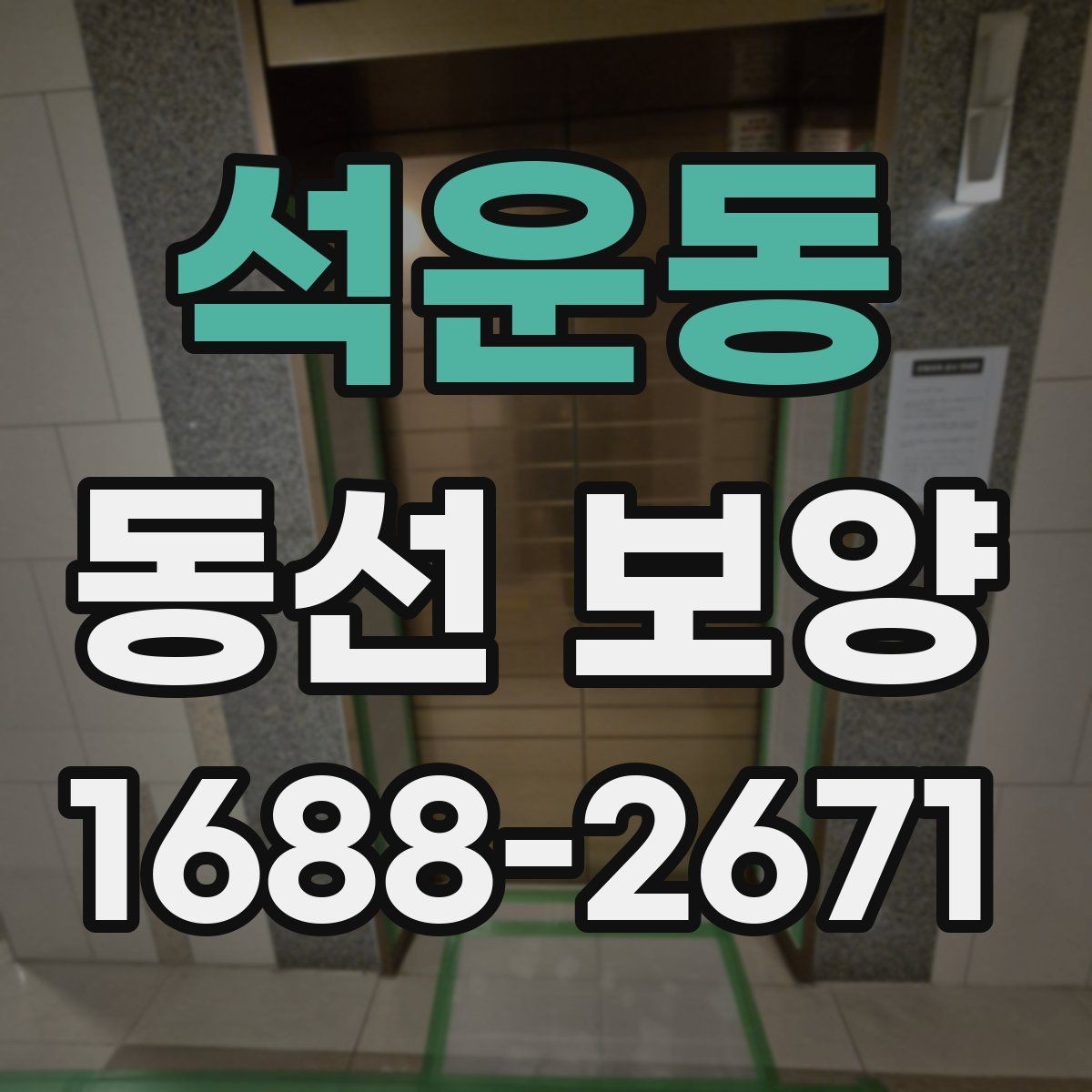 석운동 동선 보양 시공을 맡기기 전 비교 포인트