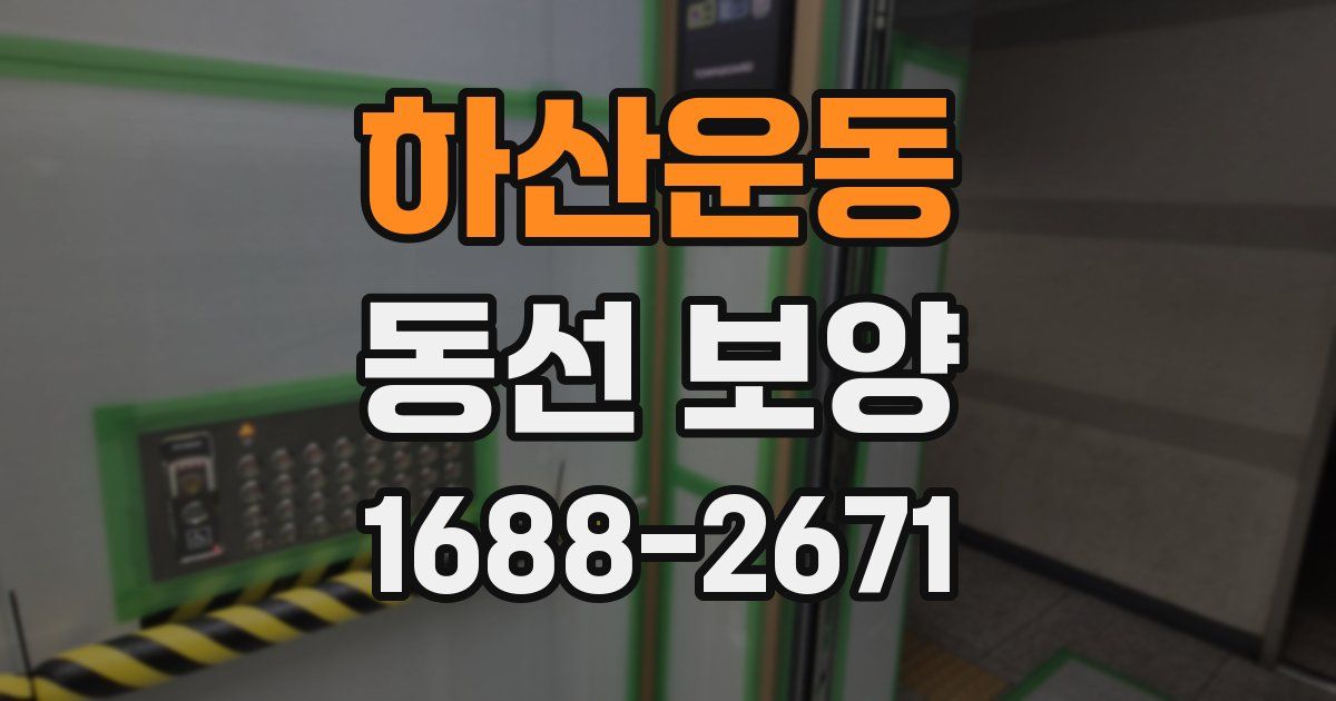 하산운동 동선 보양