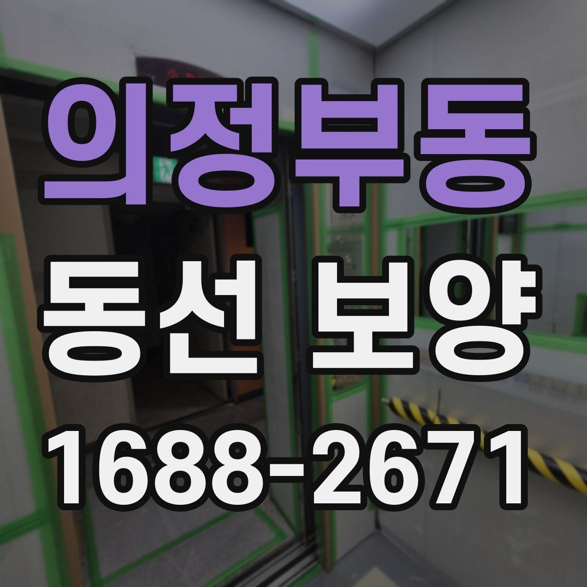 의정부동 동선 보양 시공 전후로 달라지는 관리 방식