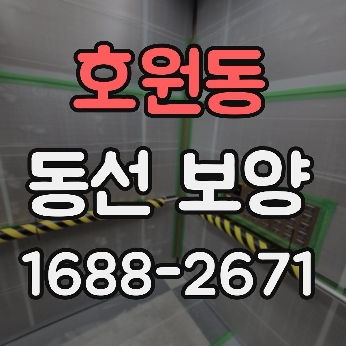 호원동 동선 보양 적용 시기와 적절한 타이밍