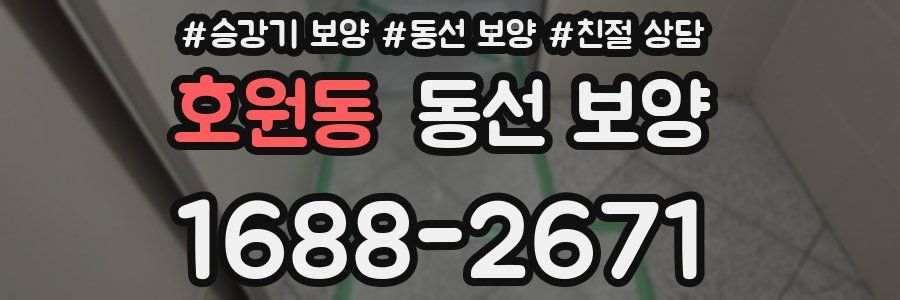 호원동 동선 보양