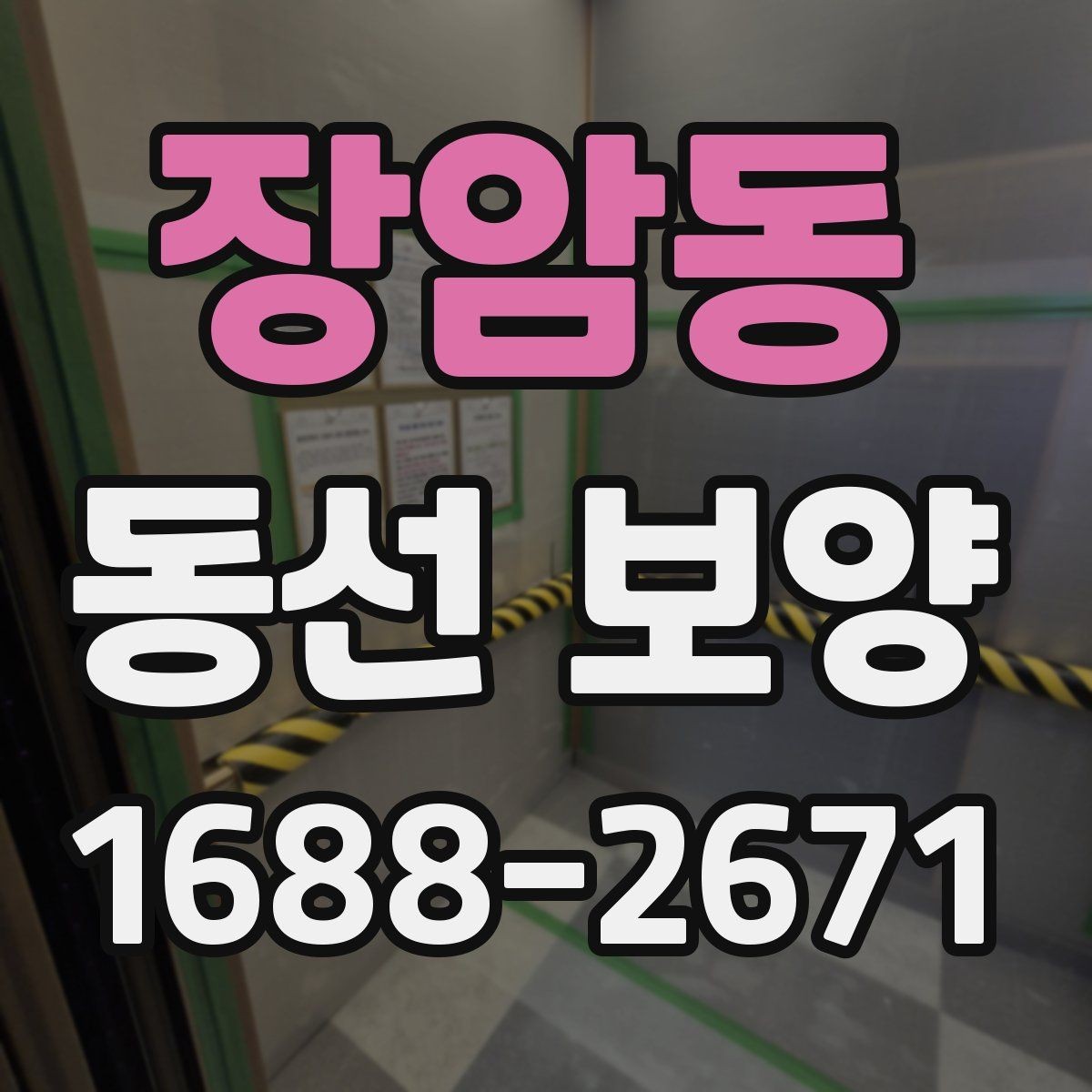 장암동 동선 보양 전후로 체크해야 할 사항