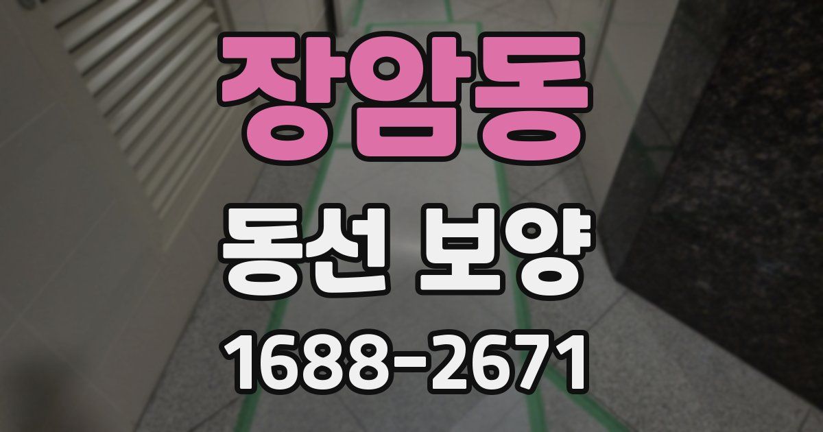 장암동 동선 보양