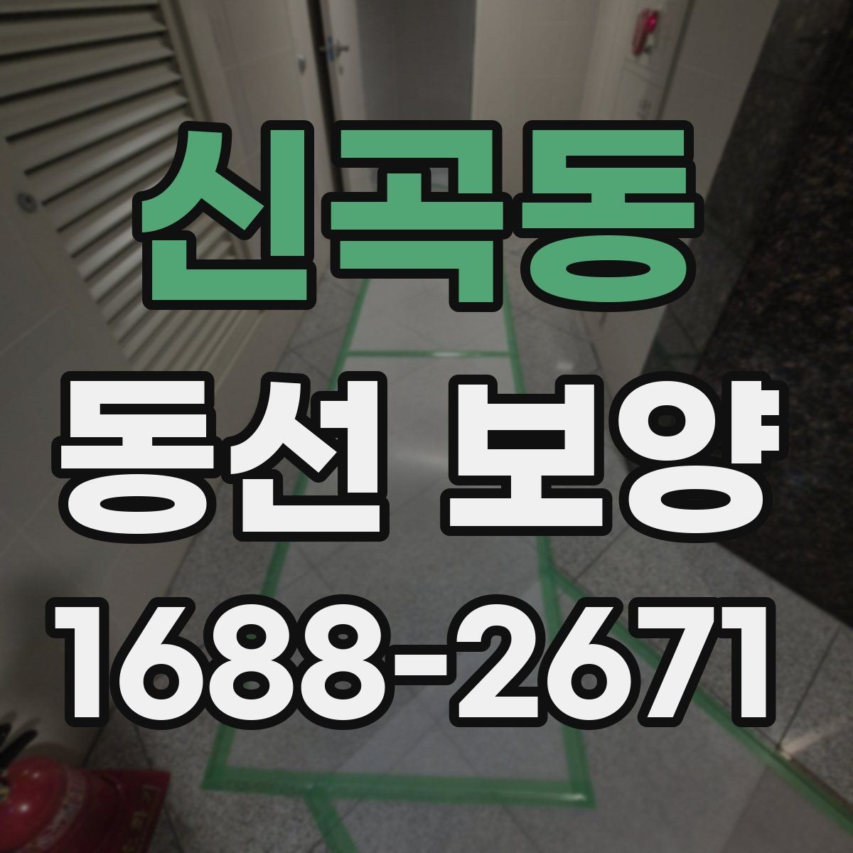 신곡동 동선 보양 작업에서 마감재 보호가 중요한 이유