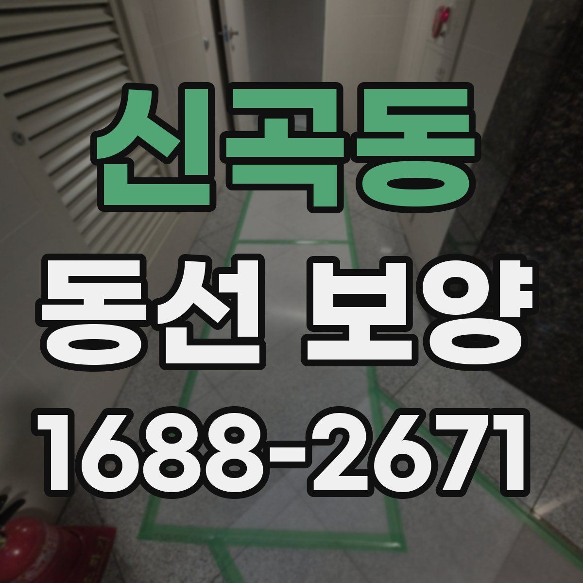 신곡동 동선 보양