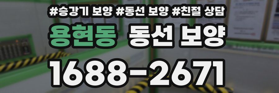 용현동 동선 보양