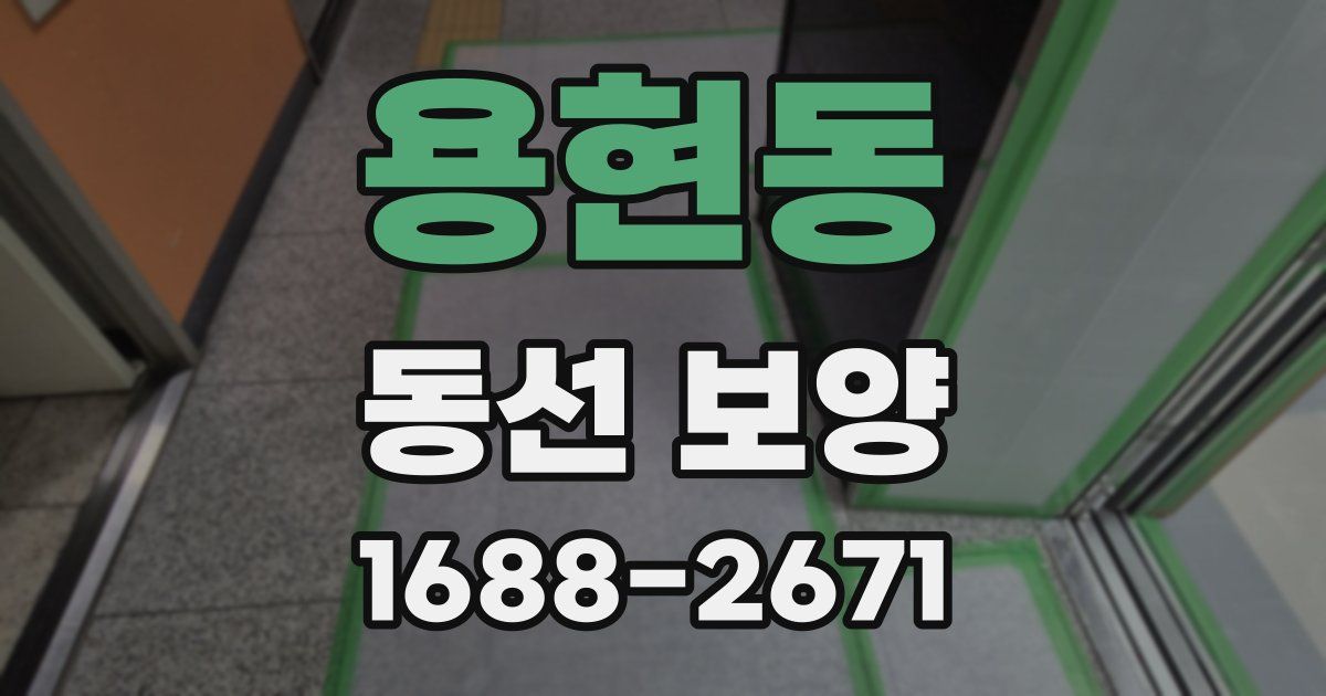 용현동 동선 보양