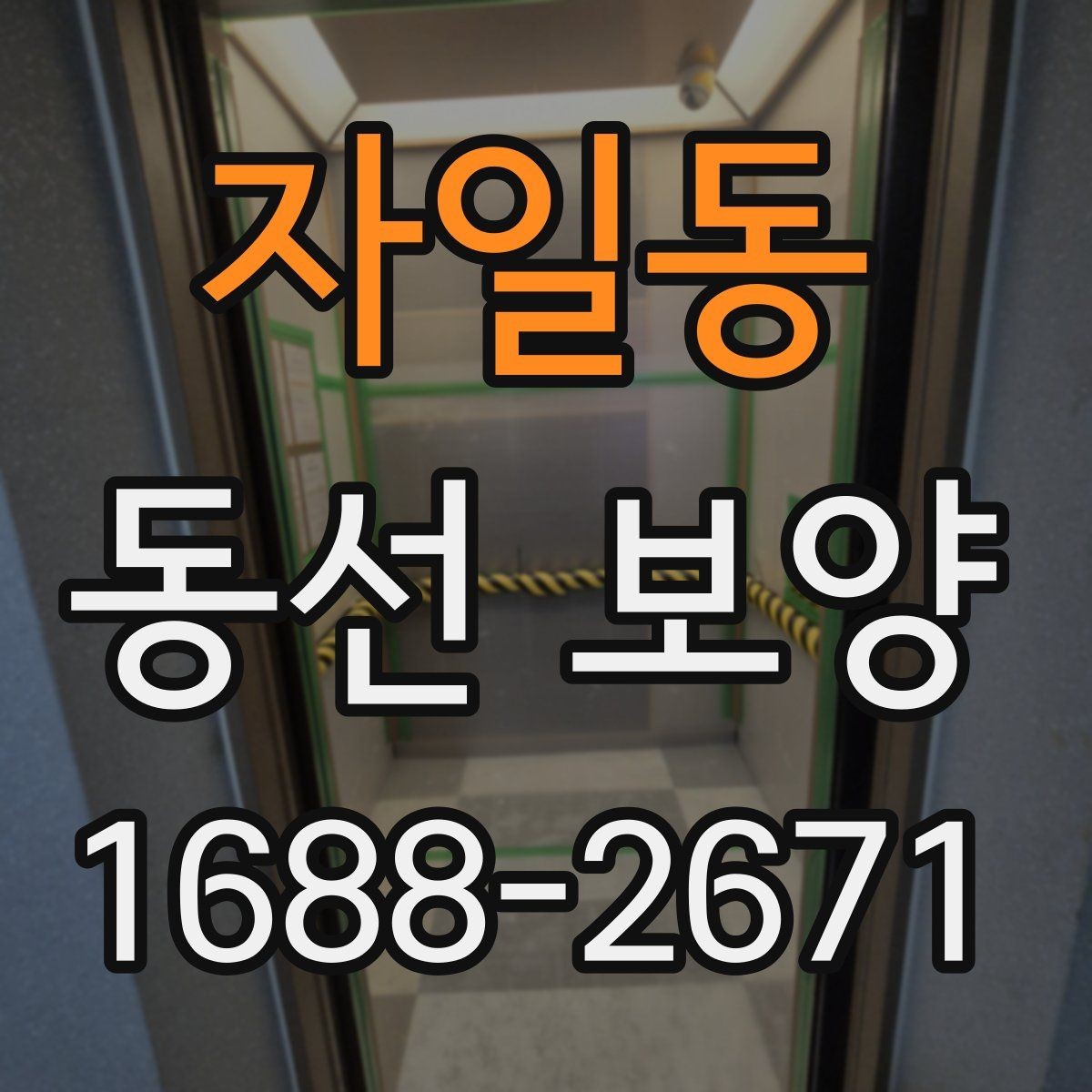 자일동 동선 보양 시 필요한 안전 수칙과 보호 장비