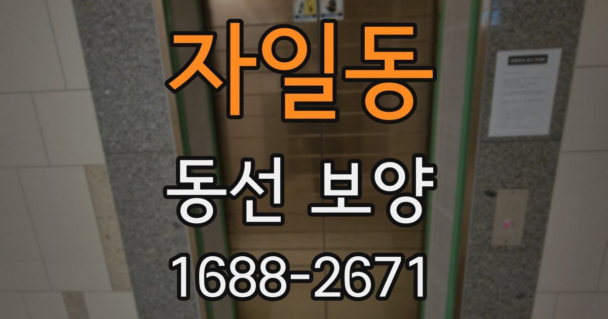 자일동 동선 보양