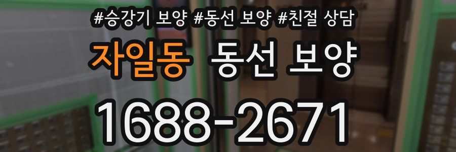 자일동 동선 보양
