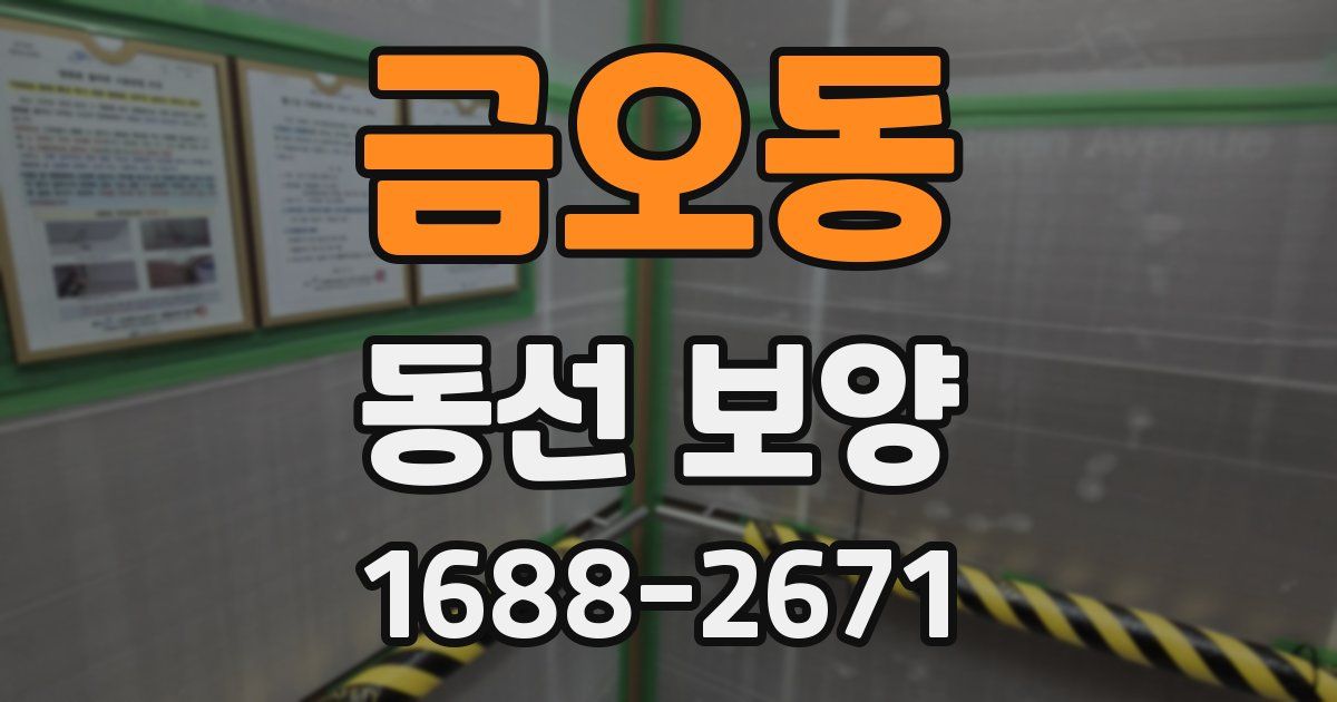 금오동 동선 보양