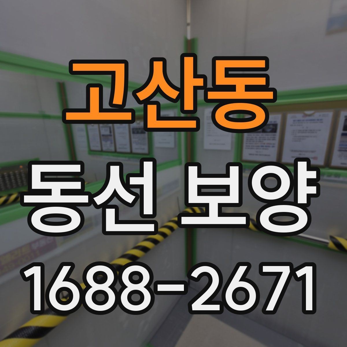 고산동 동선 보양 관련 문의 전 준비하면 좋은 정보