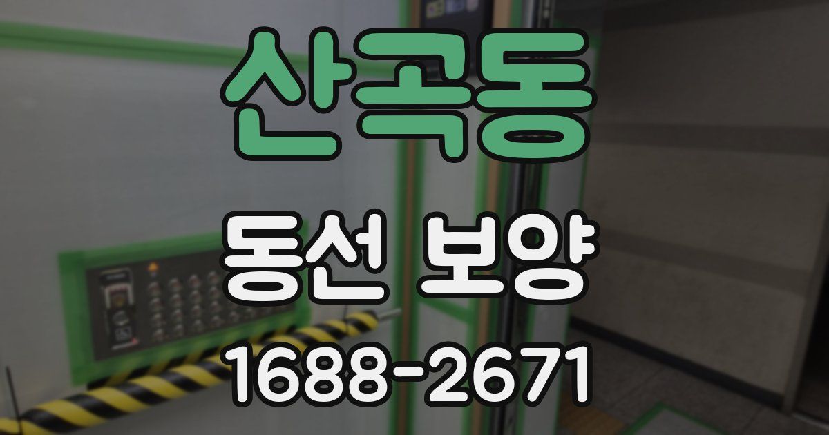 산곡동 동선 보양