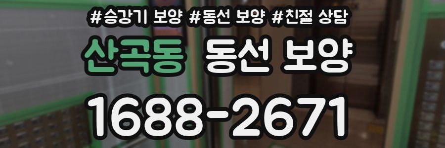 산곡동 동선 보양