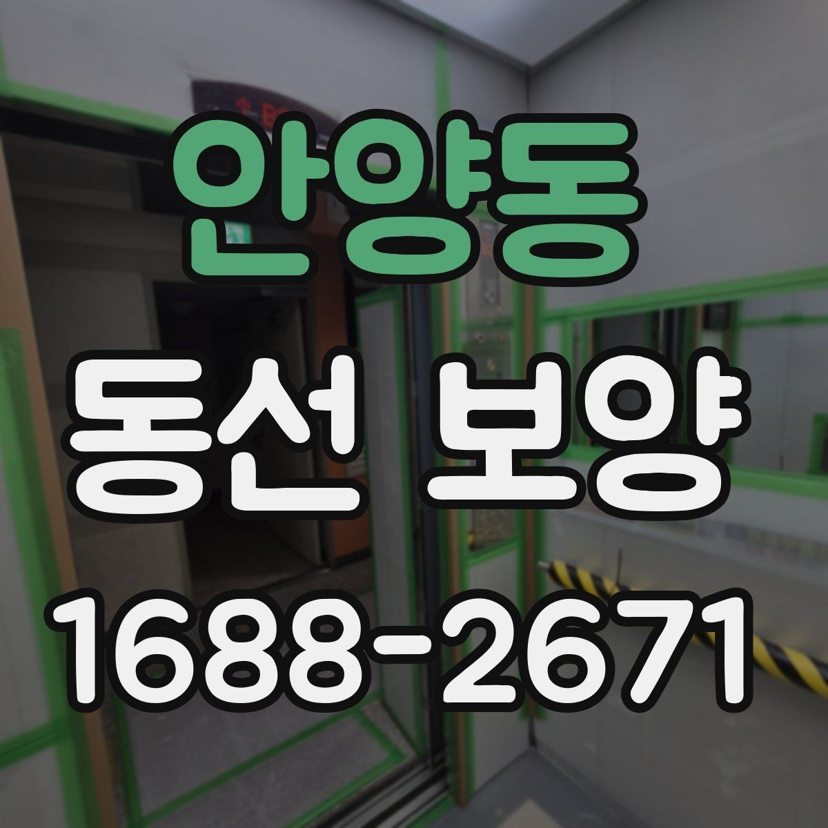 안양동 동선 보양 시공 품질을 좌우하는 준비 단계
