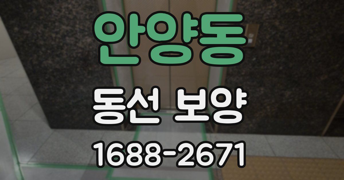 안양동 동선 보양