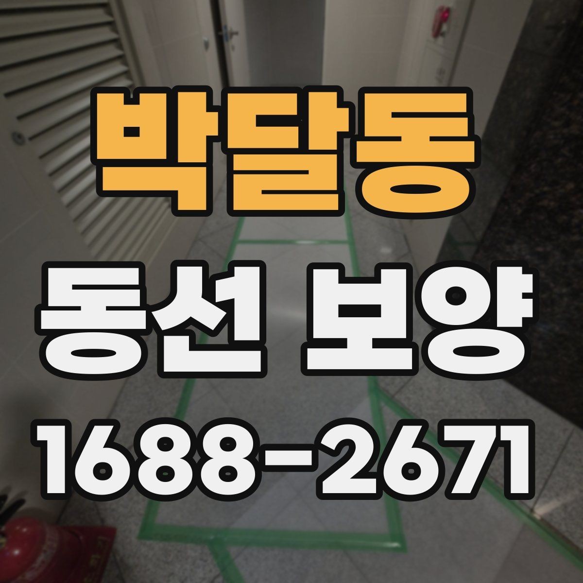 박달동 동선 보양 자재 고를 때 보는 핵심 포인트
