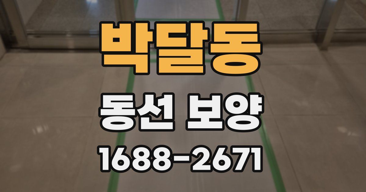 박달동 동선 보양