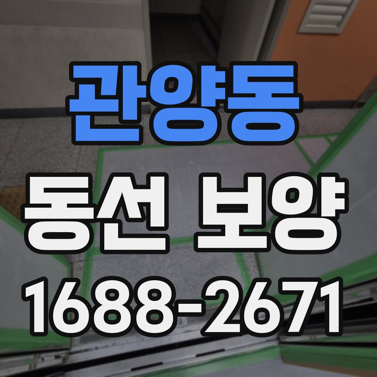 관양동 동선 보양