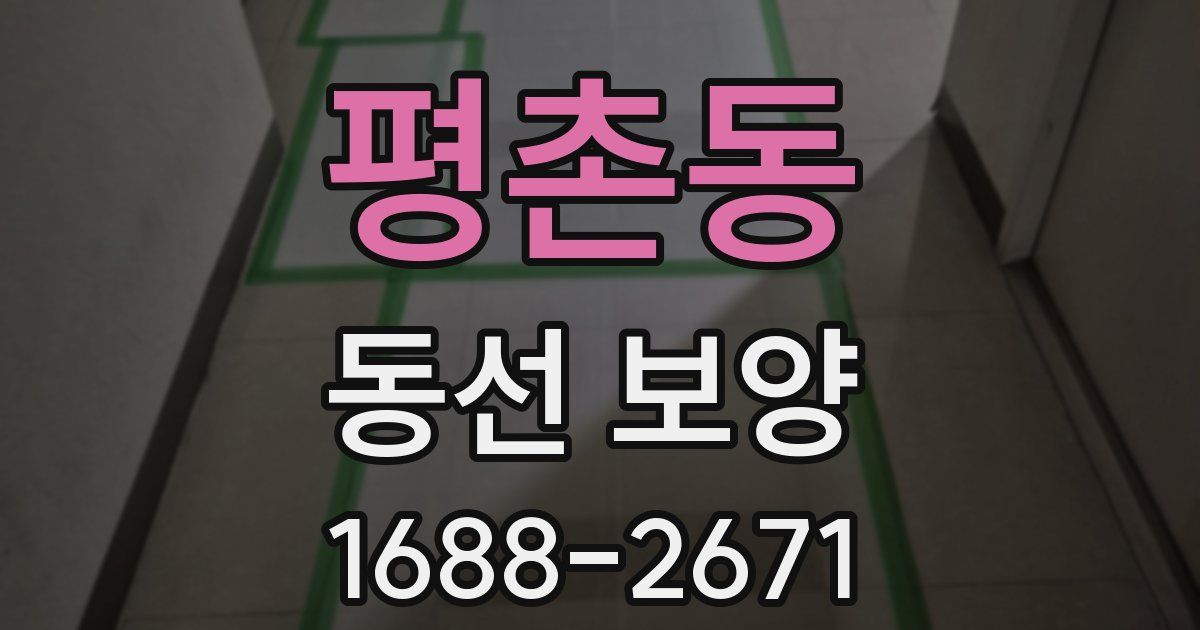 평촌동 동선 보양