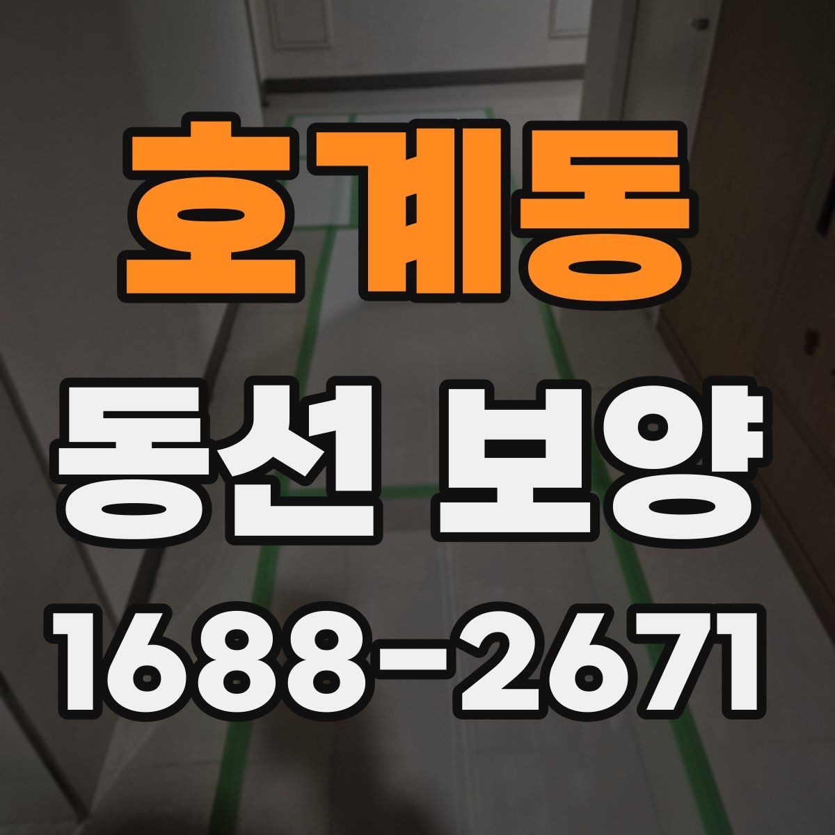 호계동 동선 보양 현장에서 주의할 점 모음