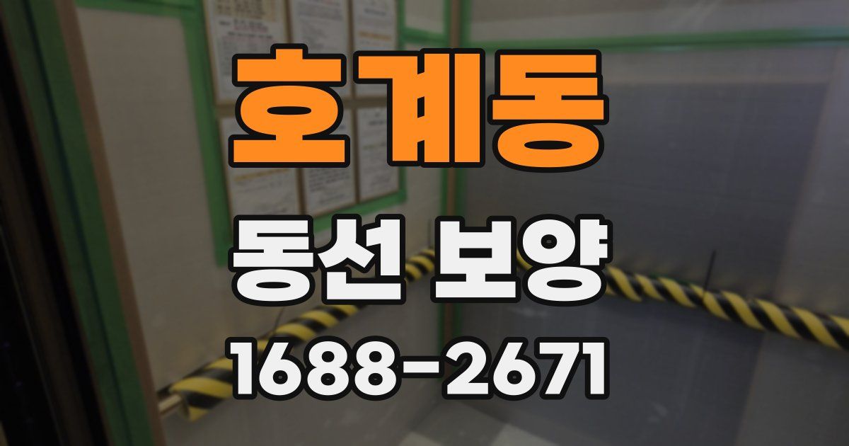호계동 동선 보양
