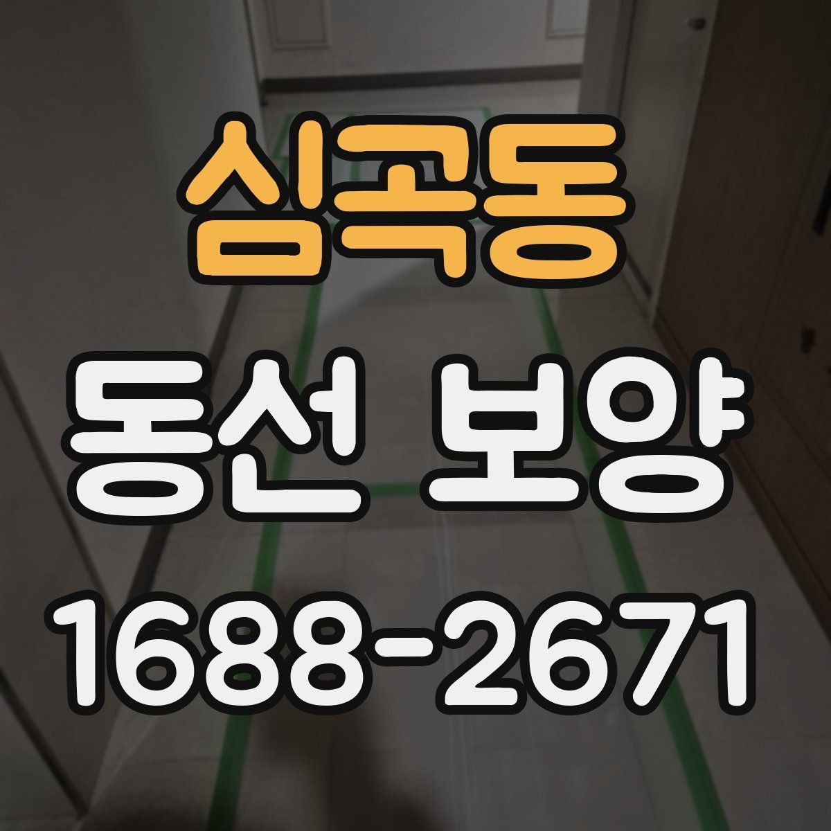 심곡동 동선 보양 현장에서는 어떤 점을 먼저 볼까