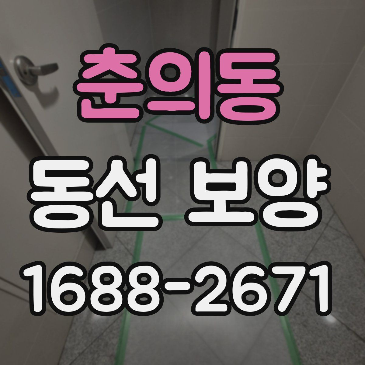 춘의동 동선 보양