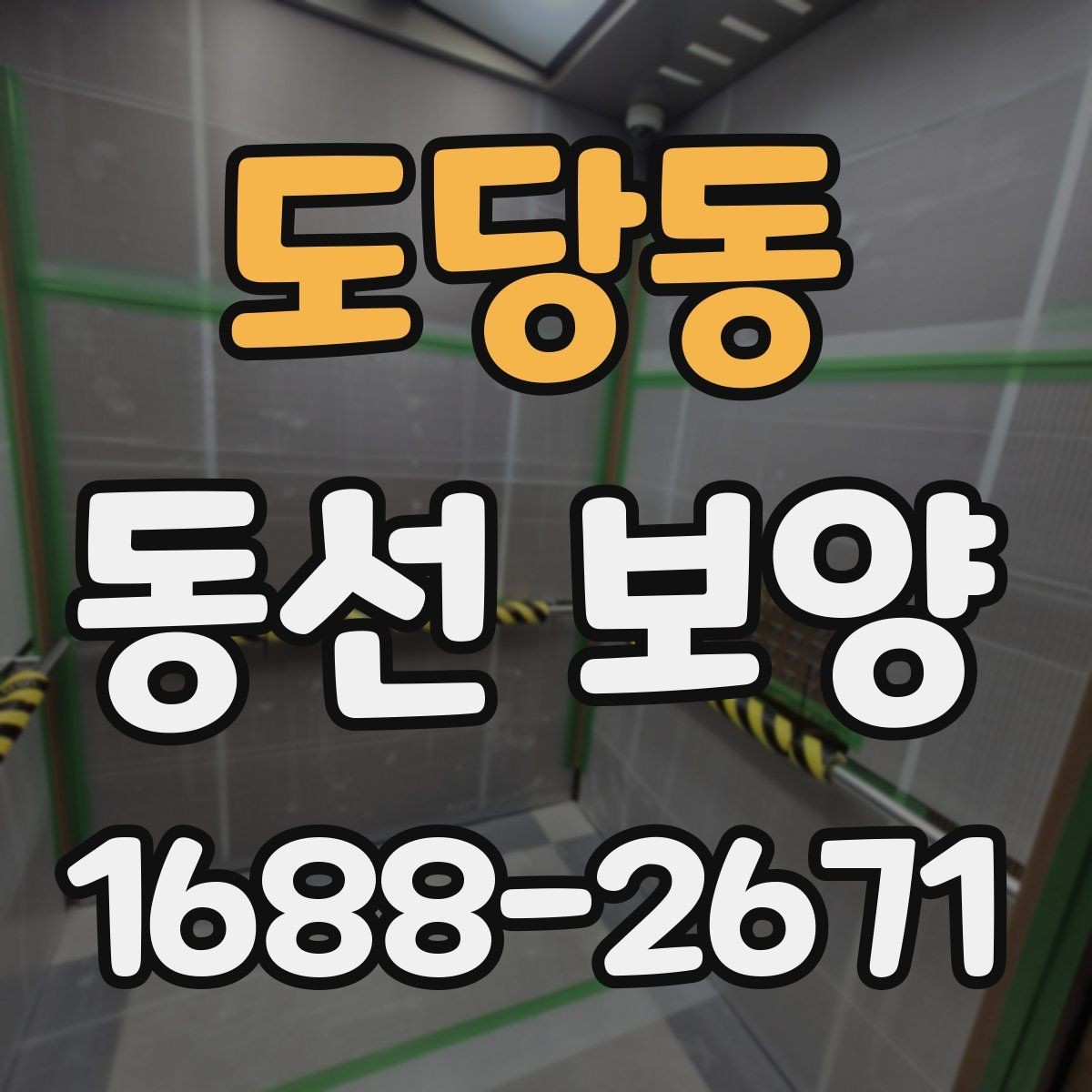 도당동 동선 보양 작업 후 관리 방법 안내
