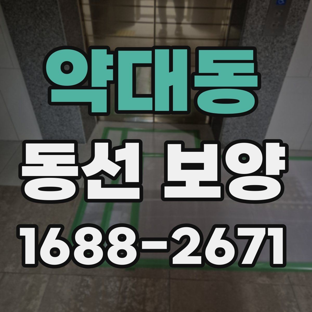 약대동 동선 보양 적용 시기와 적절한 타이밍