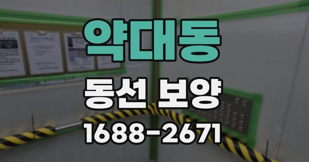 약대동 동선 보양