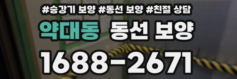 약대동 동선 보양