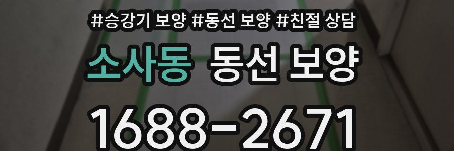 소사동 동선 보양
