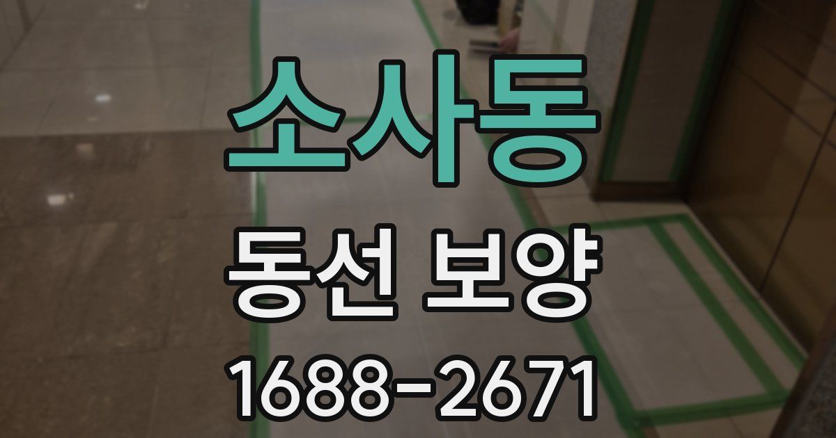소사동 동선 보양