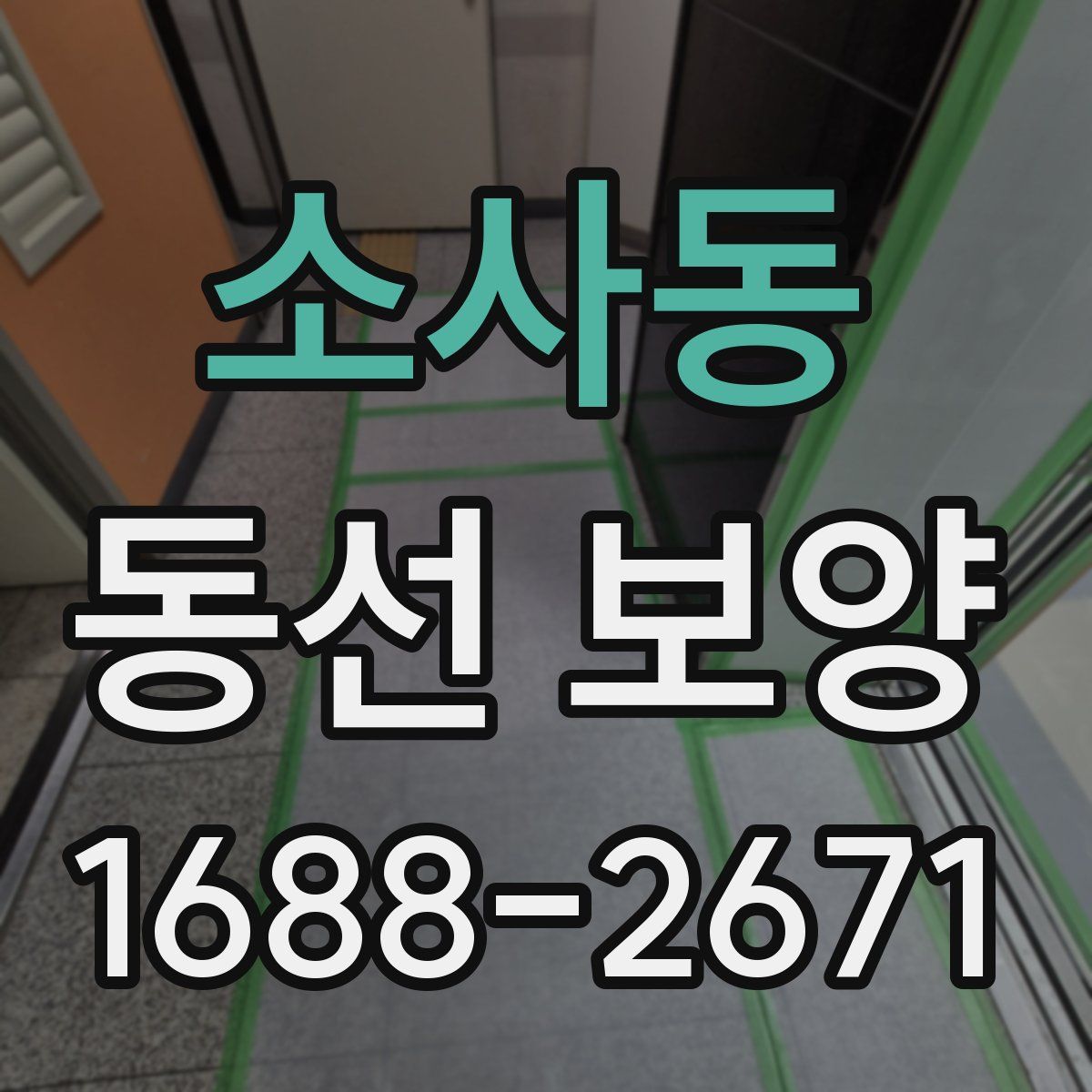 소사동 동선 보양