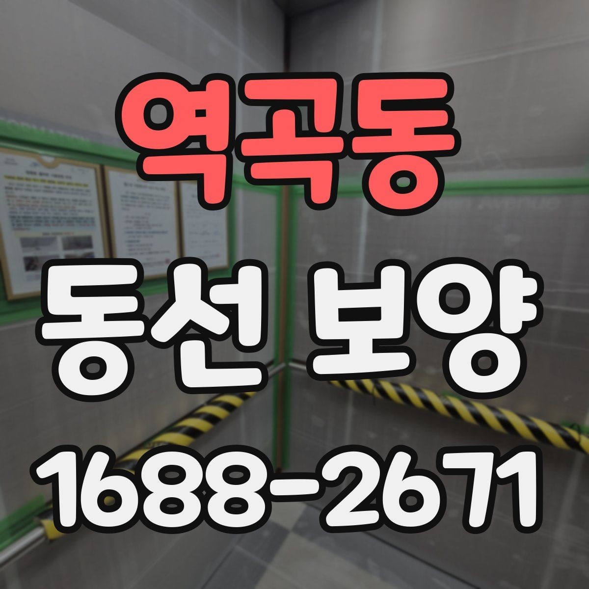 역곡동 동선 보양 시 흔히 놓치는 부분들