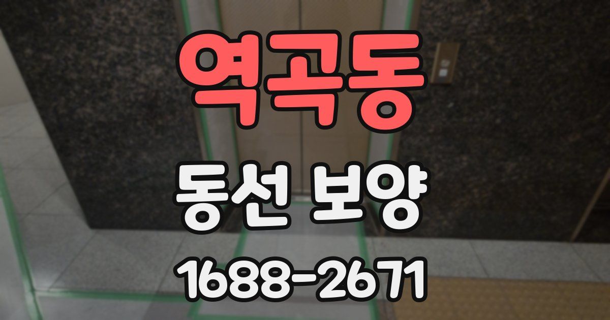 역곡동 동선 보양